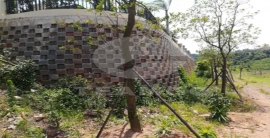 新利luck18(中国)体育·官方网站